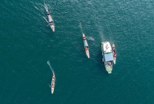 湖库地区如何保护生态 淳安经验成为全国典型