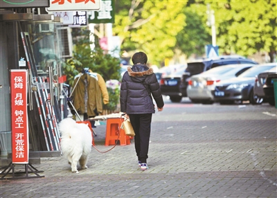 遛狗不牵绳、不及时清理犬类粪便?多地出台最