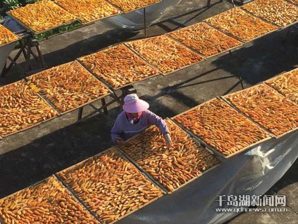 开平区周家桥村有多少人口_人口普查