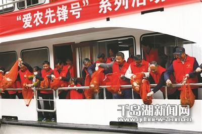 鱼护排行_浙江淳安:以鱼护水以渔富民(2)