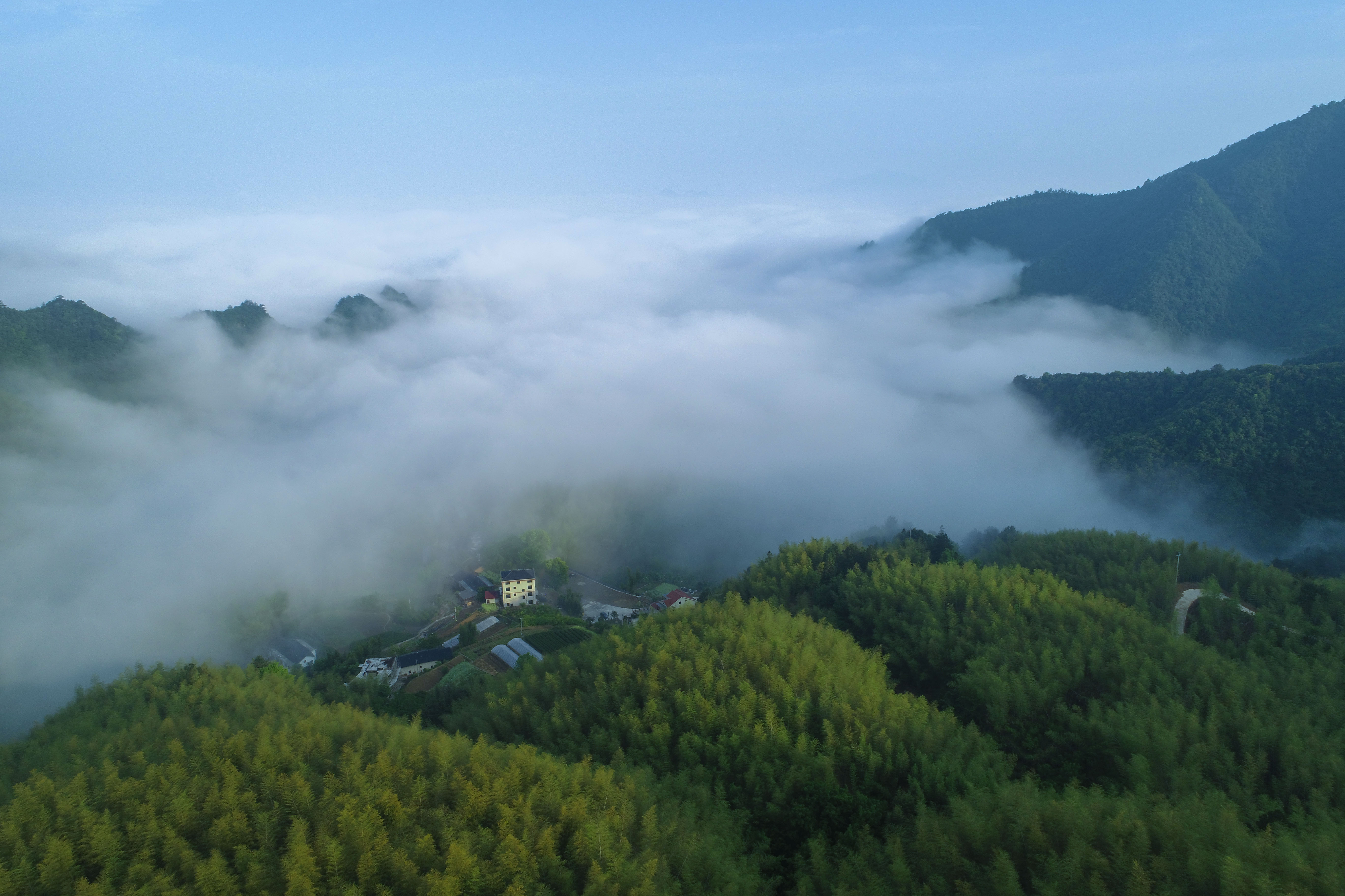 【庐山云雾摄影图片】风光摄影_太平洋电脑网摄影部落