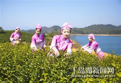 西甲联赛比赛前瞻:拉帕马斯VS马竞比分预测