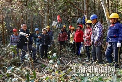 青山春露早 老树发新芽 “蛾眉峰”六十甲子邀您再品岁月滋味