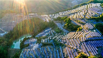 驶向更绿色更智能的未来，中外专家热议智慧出行