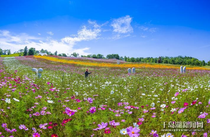 1718588708450.jpg 1718588708450.jpg