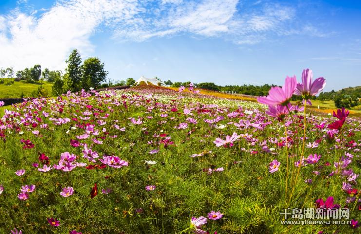 1718588818642.jpg 1718588818642.jpg