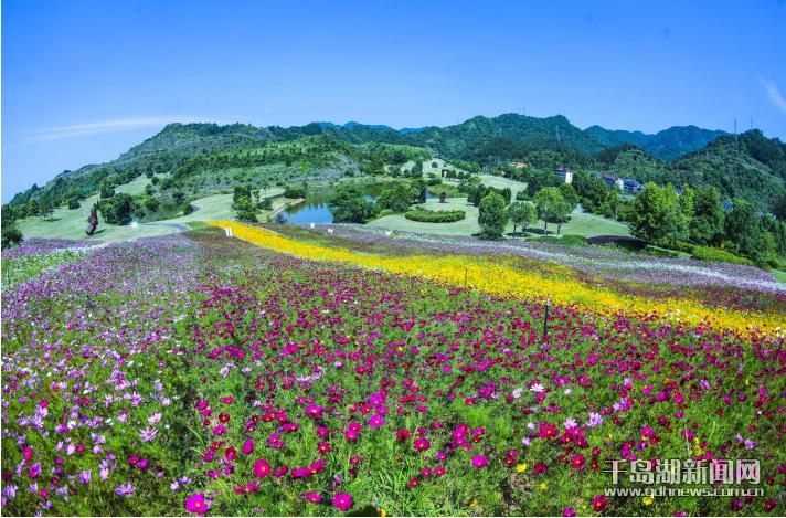 1718588446992.jpg 1718588446992.jpg