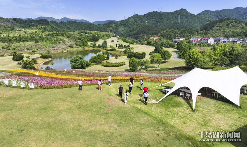 1718588745607.png 1718588745607.png