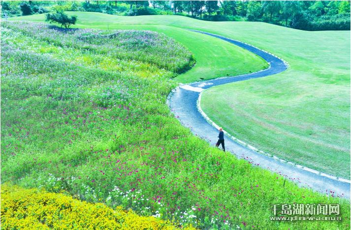 1718588495575.jpg 1718588495575.jpg