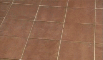 a06328b0-c4d1-4754-8a31-d479d9e7c9fc.gif