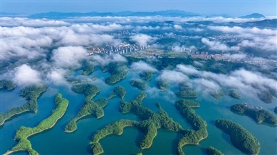 一湖烟雨半湖诗