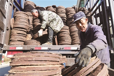 大桥头村茶麸饼“蓄力”待春 解锁山茶籽新“玩法”
