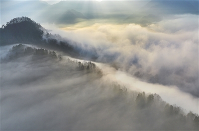 雾漫山林醉游人