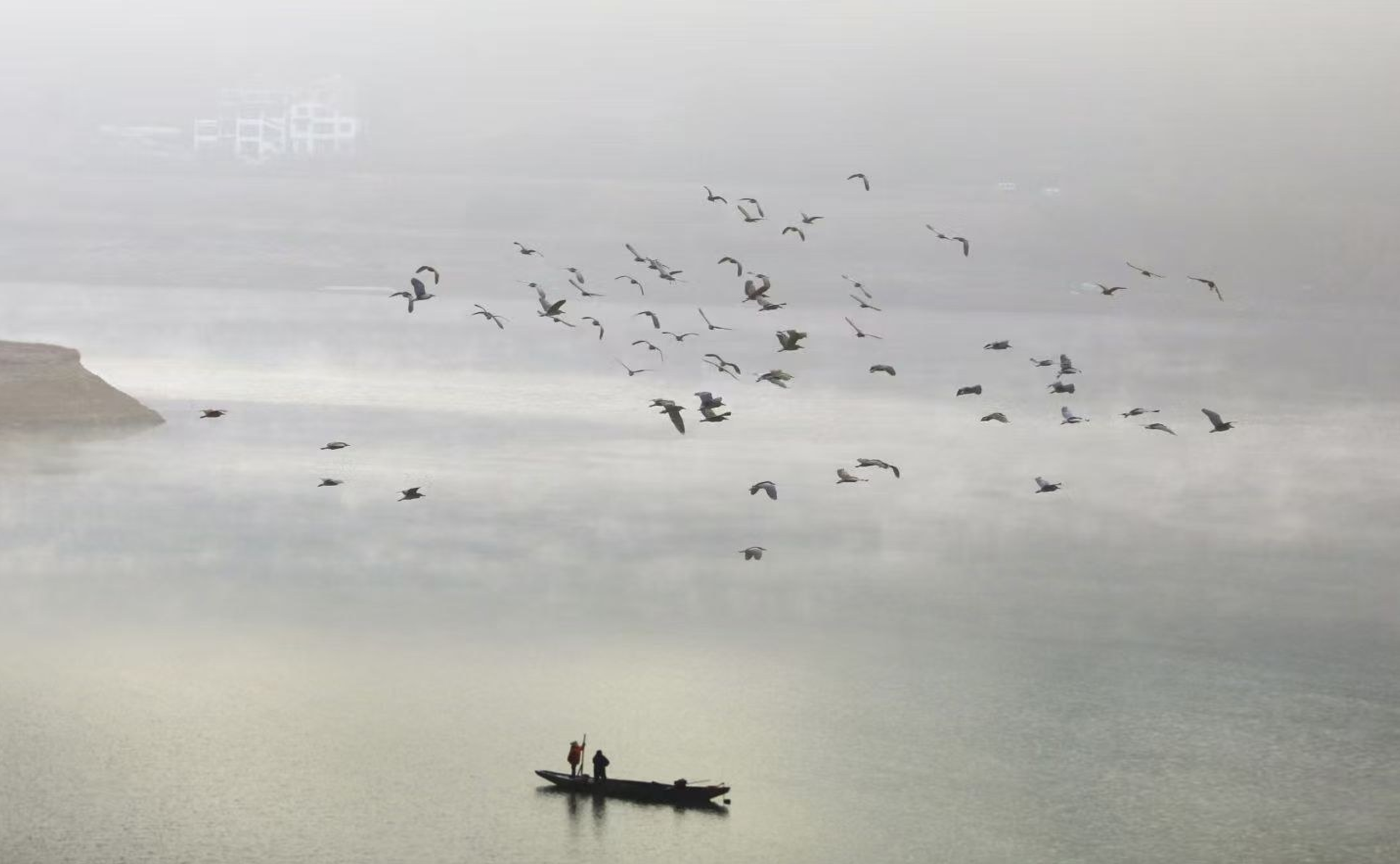 晨雾漫千岛 鸬舞映霞光