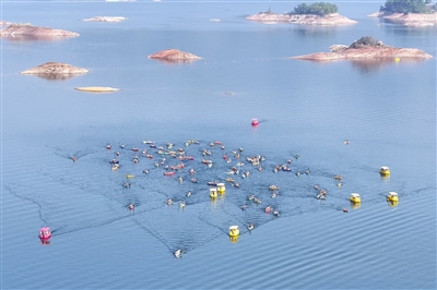 挥桨逐浪 春游正酣