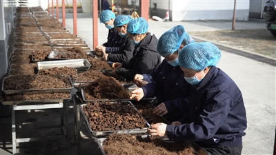 老手艺在春光里焕发新生机