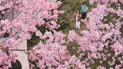 踏青赏花春意浓