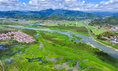 滩涂生翠 湿地藏春