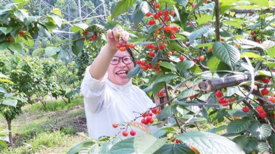 春日甜梦 邂逅一场采摘的浪漫