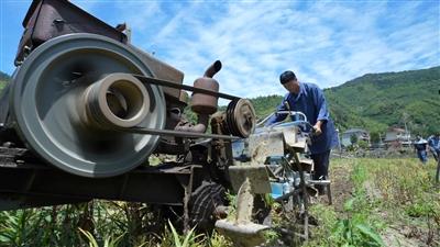 10分钟 vs 4小时 屏门乡土专家“手搓”采收机破解浙贝母采收难