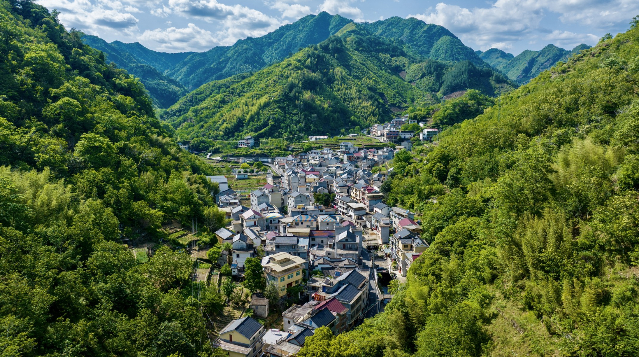 绿野乡居 夏意初萌