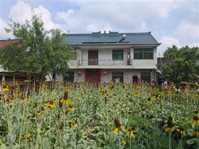 庭院开出“共富花”